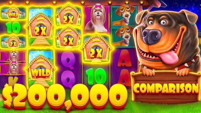 Sticky Wild multipliers in The Dog House bonus game