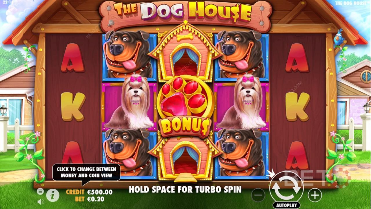 Bankroll management strategy in The Dog House slot