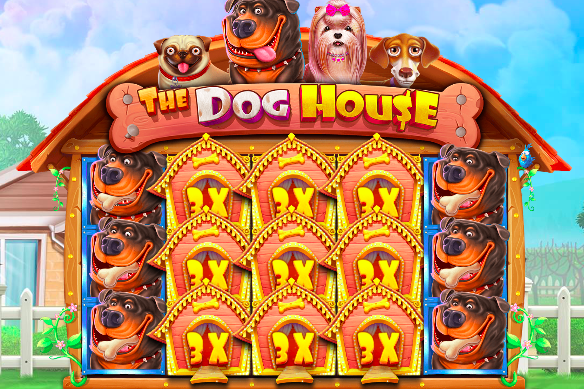 Comparison of Pragmatic Play slots at Pokerdom casino