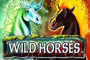 Wild Horses Wild Horses
